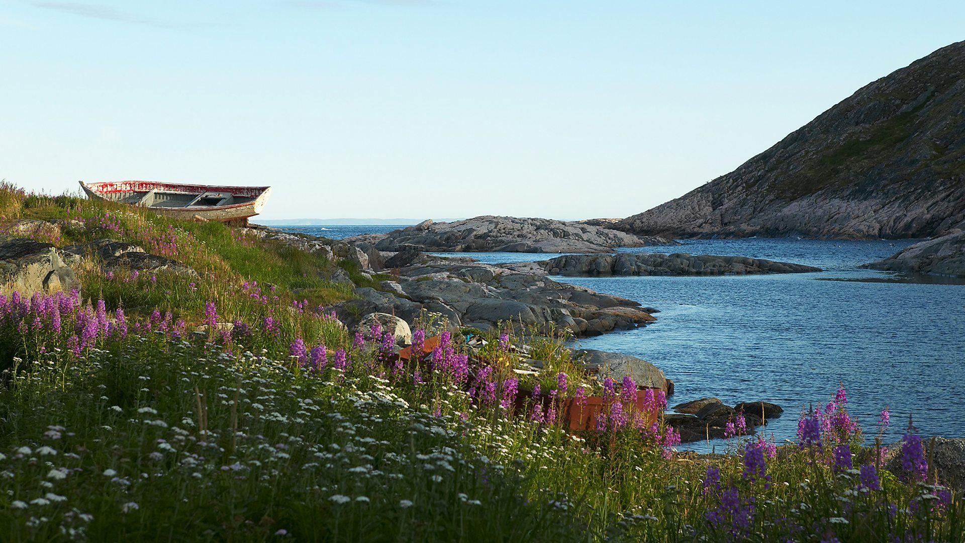 Un paisaje bucólico de Labrador