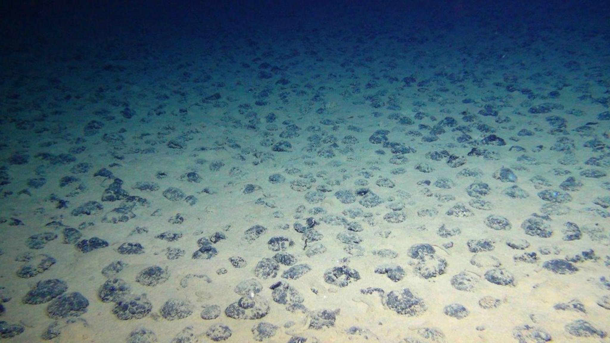 Vista del fondo oceánico y nódulos metálicos