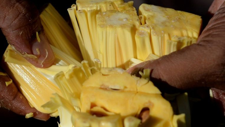 JACK FRUIT