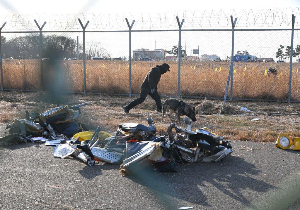 30일 오전 전남 무안국제공항에서 수색팀이 개와 함께 전날 발생한 제주항공 여객기 충돌 폭발 사고 잔해를 수색하고 있다. 