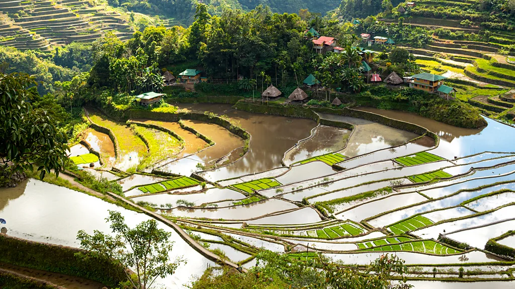 Os terraços de produção de arroz usados há milhares de anos em muitos países asiáticos, como a China, Japão, Tailândia, Vietnã e as Filipinas

