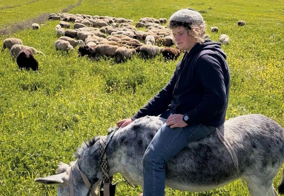 Benjamin Achimeir no campo, com ovelhas ao fundo