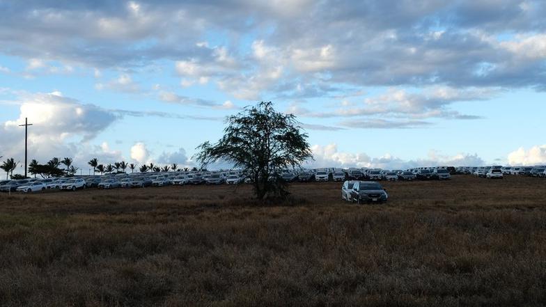 Centenares de autos de alquiler estacionados cerca del aeropuerto de Maui.