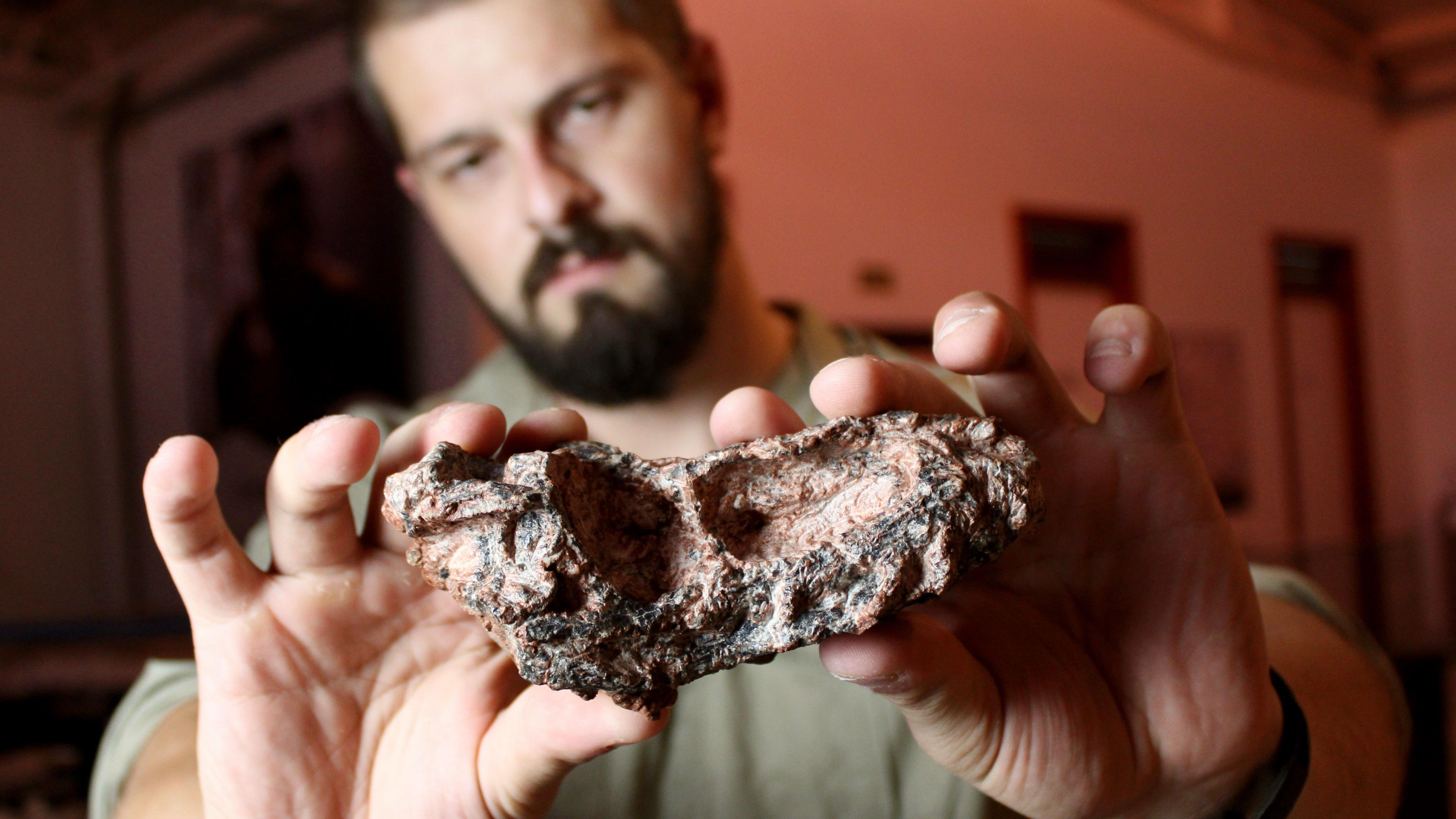 Paleontólogo Rodrigo Temp Müller segurando o fóssil de Parvosuchus aurelioi