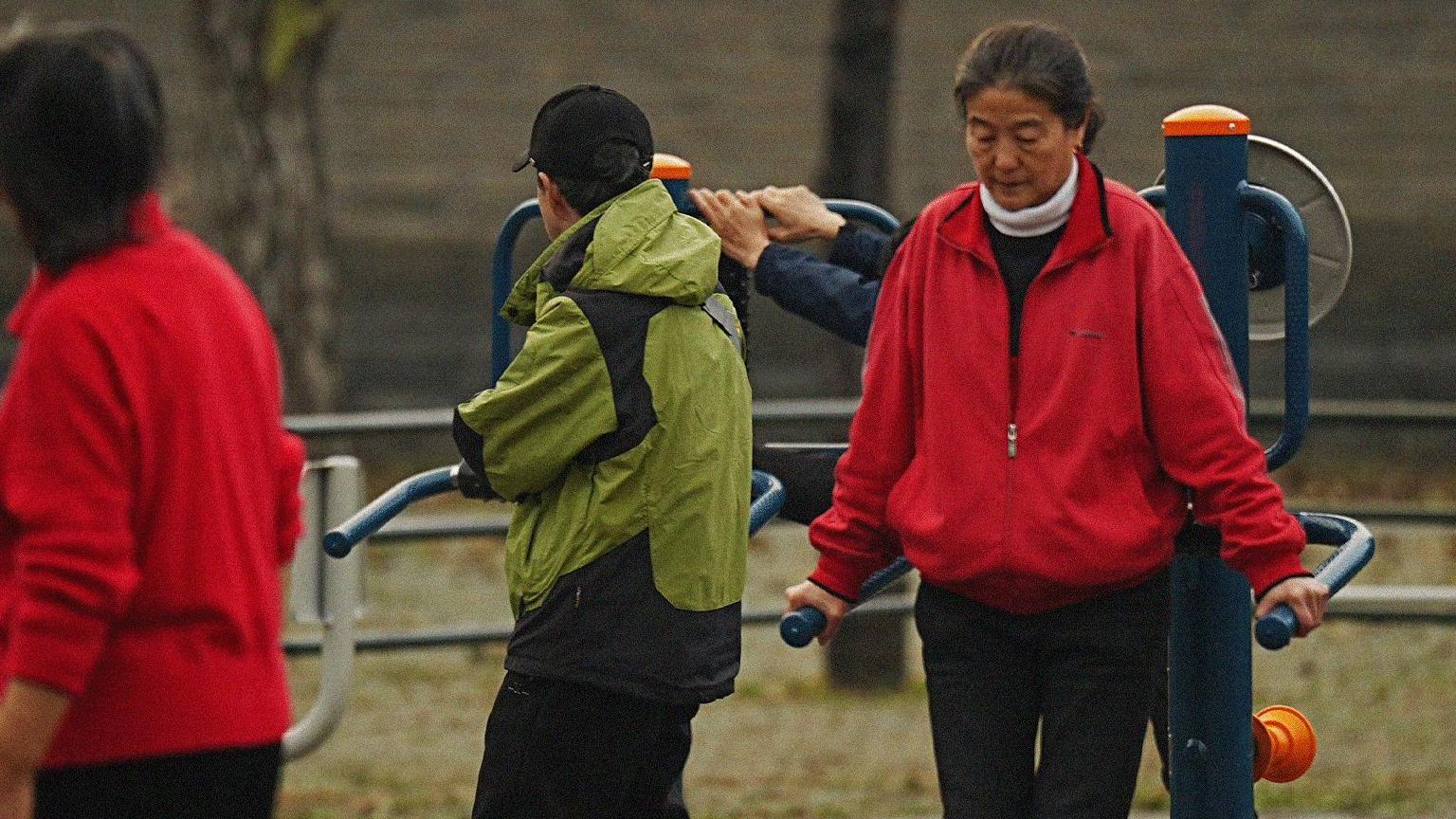 一群人在公園使用健身器材鍛煉