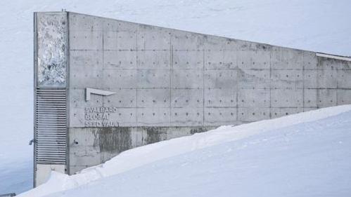 Fachada de prédio moderno em meio à neve