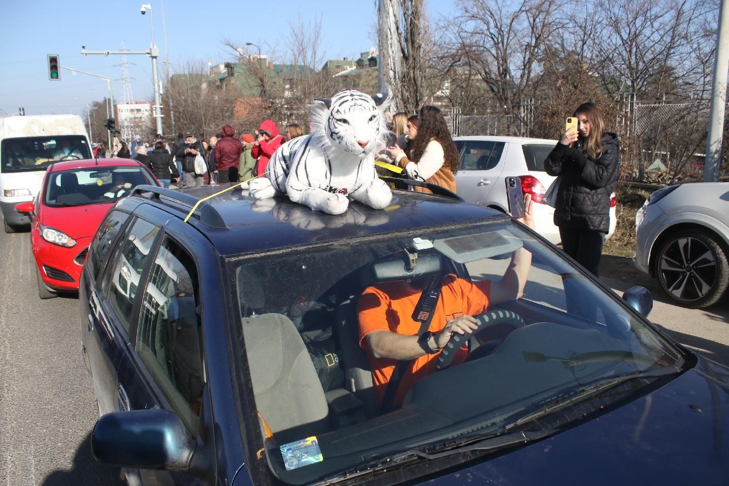 studenti, studentski protest