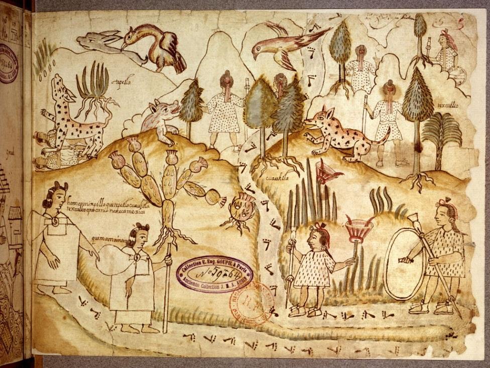 El Códice de Azcatitlán