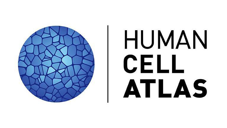 Logo del Mapa Celular Humano. 