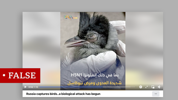 fake news