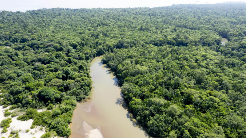 Paisagem amazônica