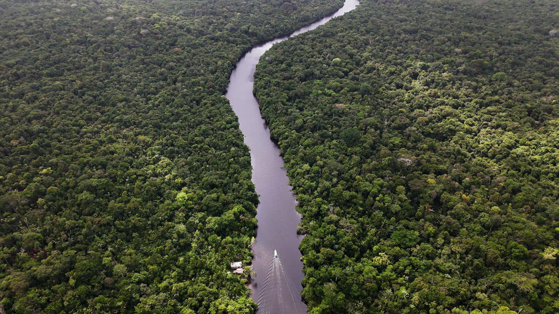 Vista aérea de barco navegando em rio de águas escuras, com floresta tropical densa nas duas margens