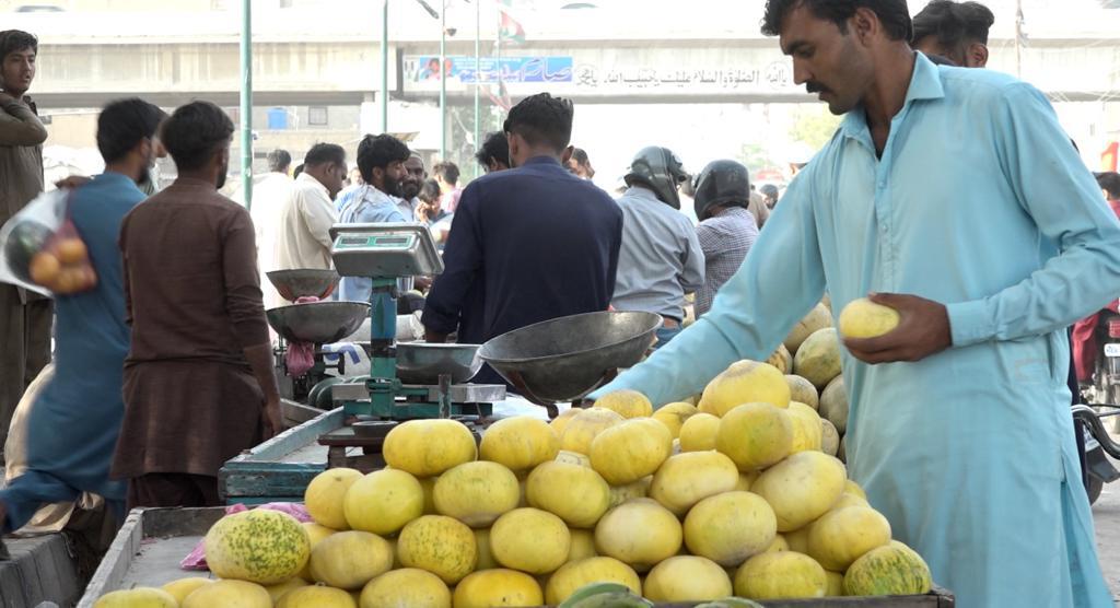 مصطفی حنیف، پھل