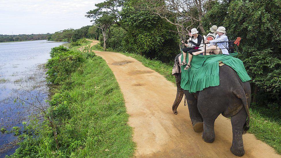Un elefanta con cuatro turistas en el lomo 