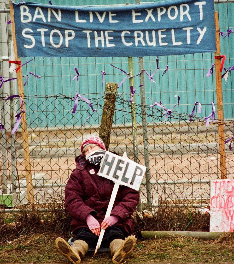 Manifestante sentada com placa escrito 'help' (ajuda)