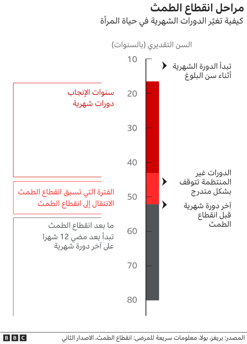 رسم توضيحي لمراحل انقطاع الطمث