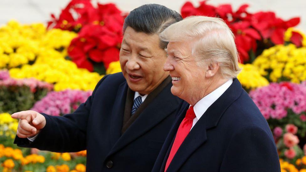 Xi e Trump em Pequim em 2017, com um jardim florido ao fundo.