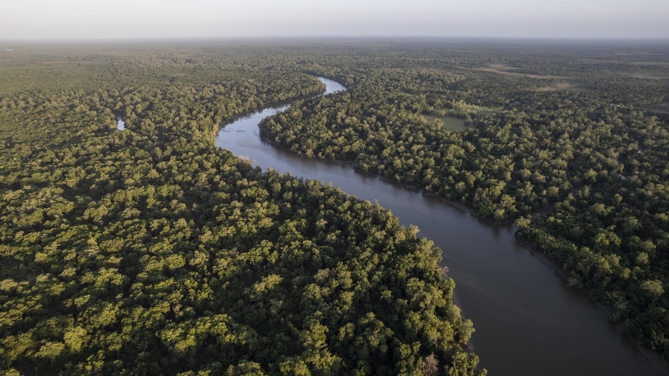 Una expedición brasileña buscará medir el río Amazonas desde su nacimiento hasta su desembocadura, para así determinar su longitud real.