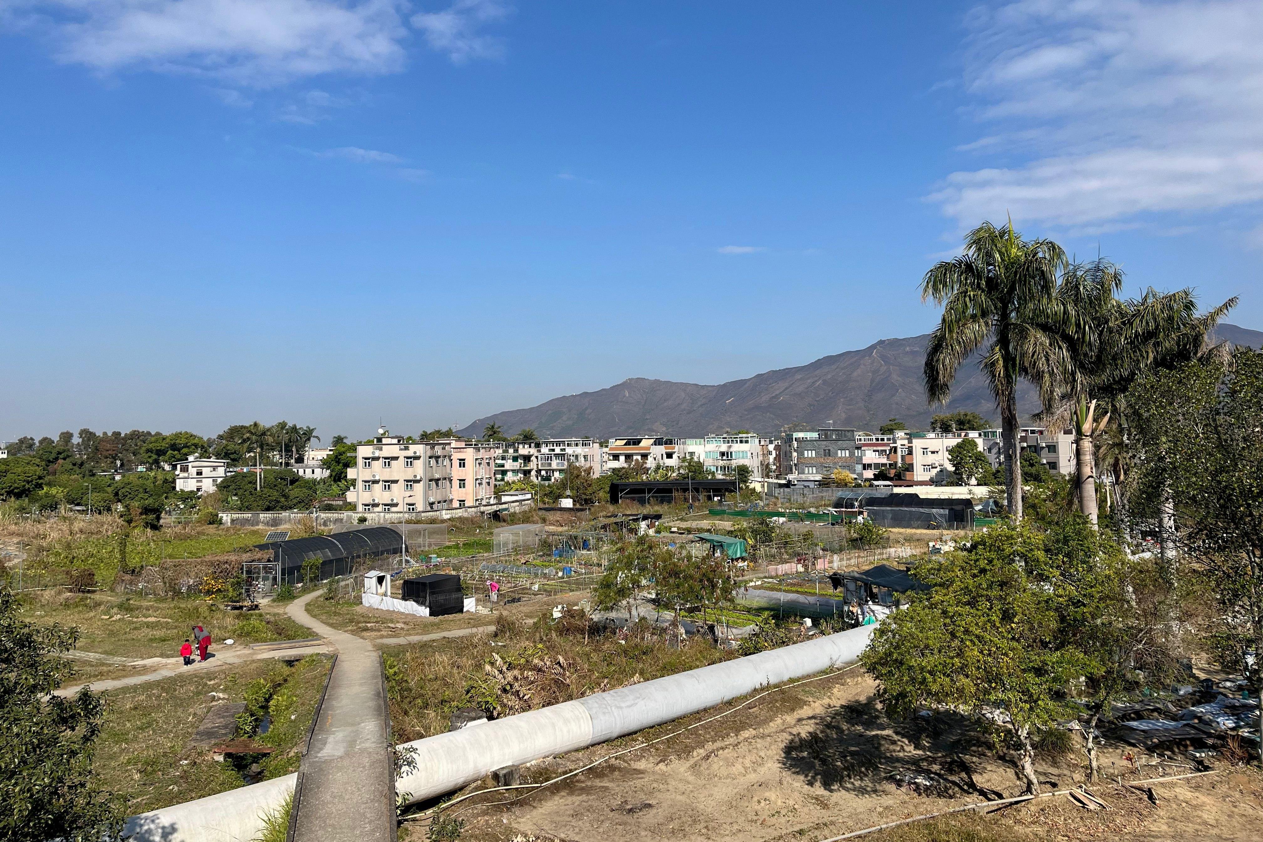 在珠珠元朗的村屋望出去，遠方是雞公嶺山脈，近處是廣袤的田野。