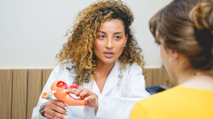 Médica segura modelo de aparelho reprodutor feminino enquanto conversa com paciente
