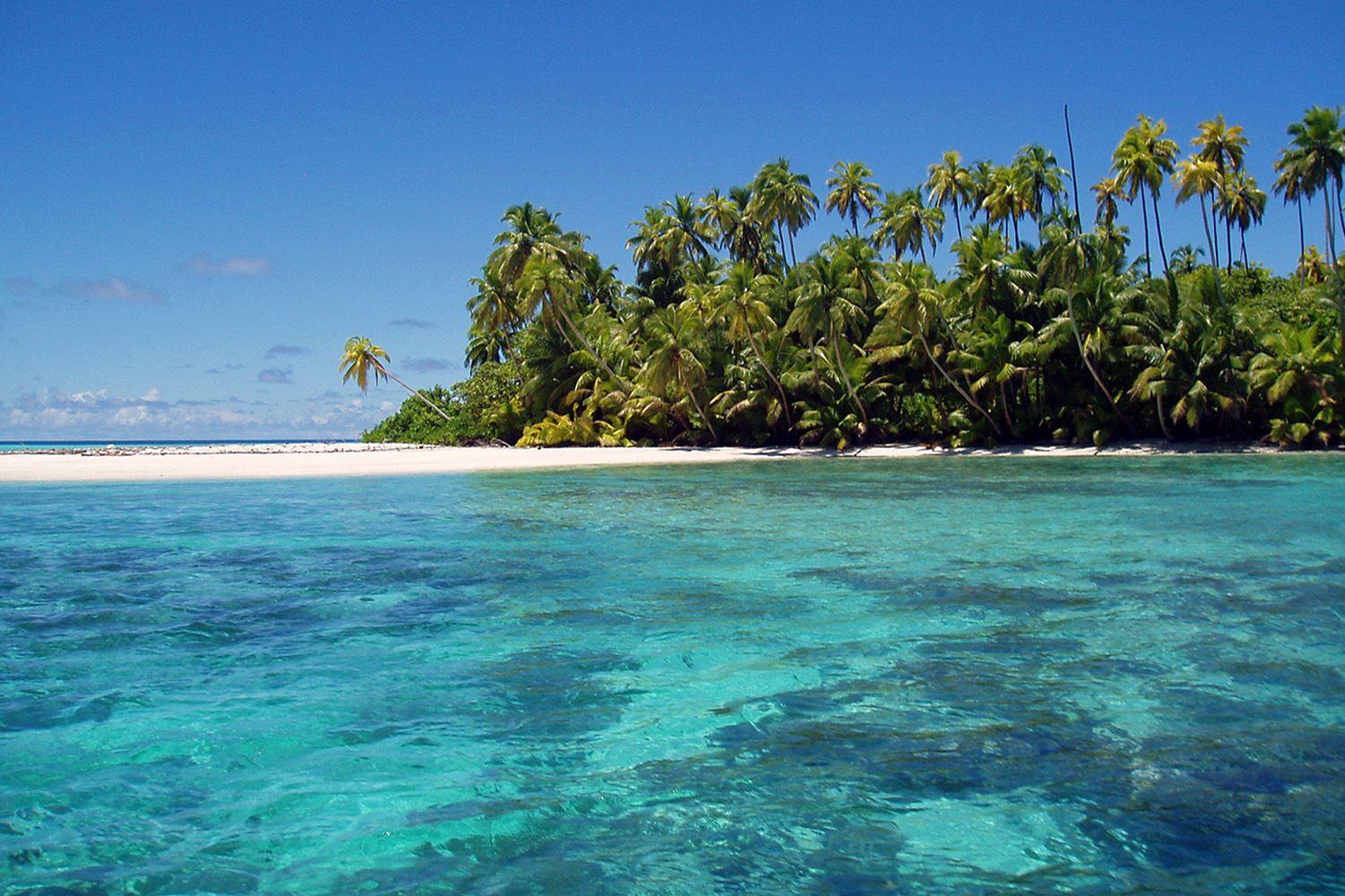 Praia com palmeiras em Diego Garcia