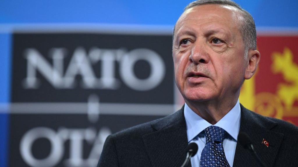 Erdoğan NATO logosu önünde konuşuyor