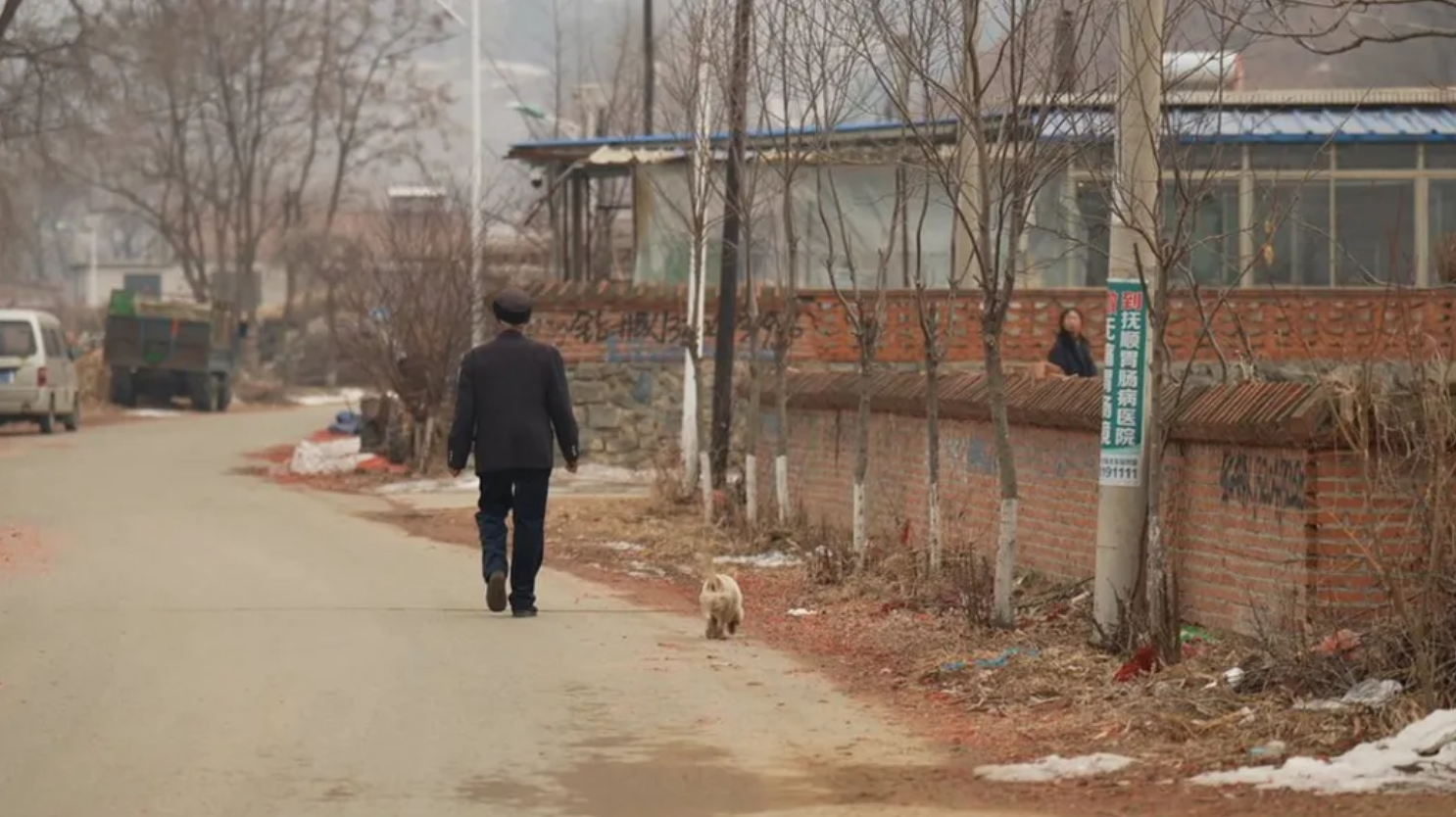 Homem caminhando ao lado de cachorro na rua