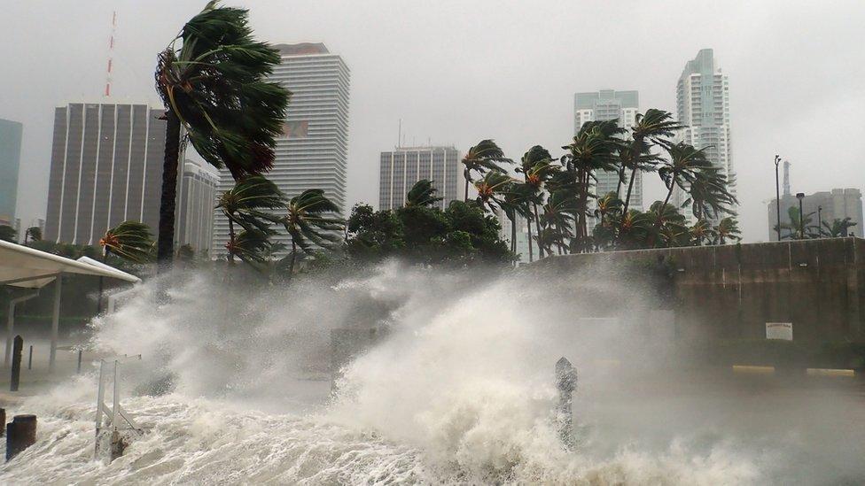Efectos del huracán Irma en Miami en 2017
