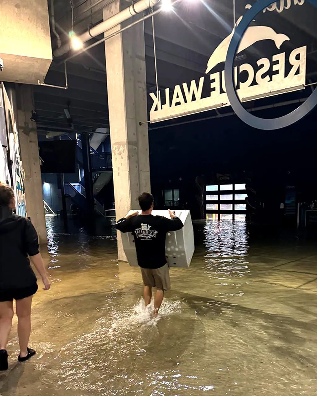 O Aquário Marinho de Clearwater é um dos que sofreu danos significativos durante a passagem do furacão Helene.