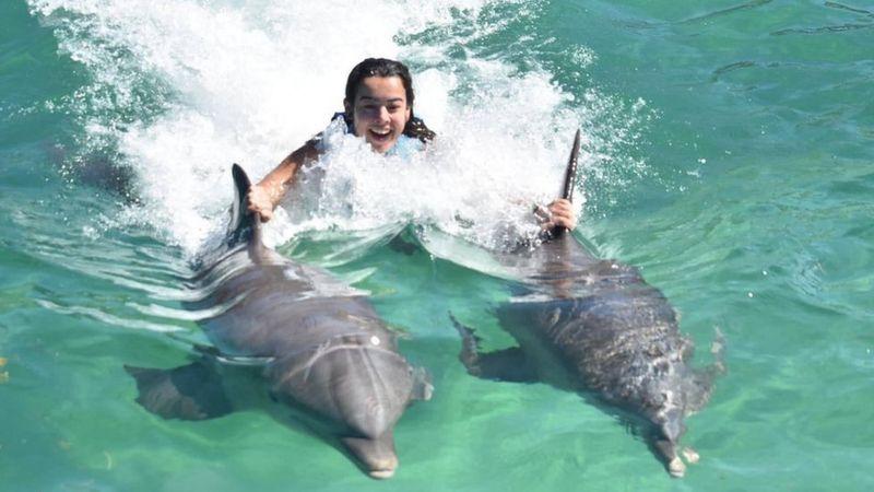 Tallulah nadando com golfinhos