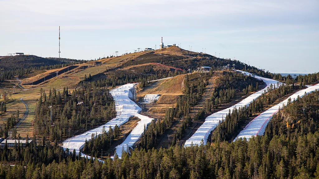 여름철 눈이 녹은 스키장에 몇몇 슬로프에만 눈이 보존되어 있다
