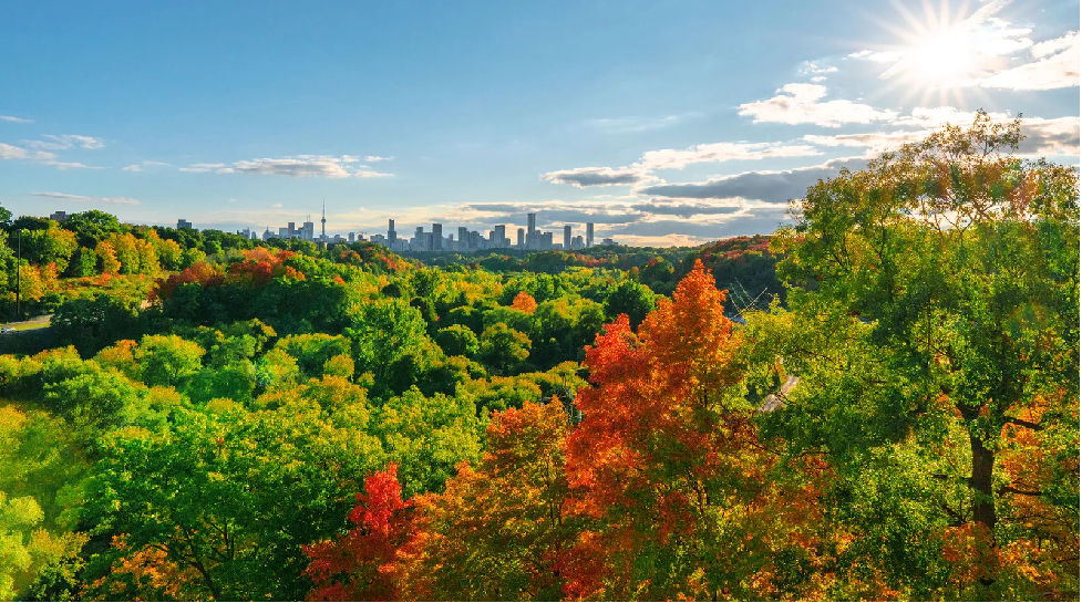 canada