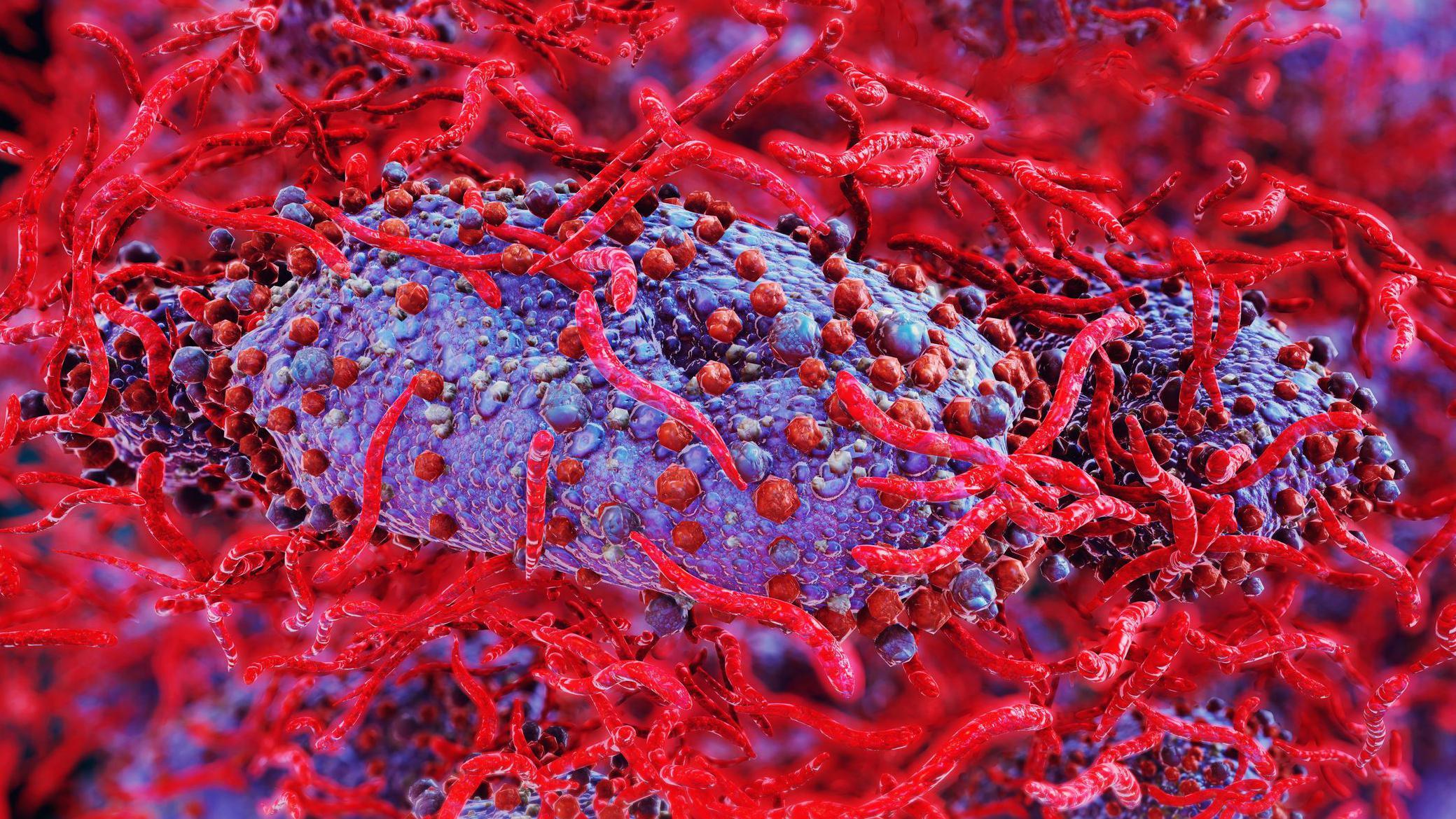 virus mpox