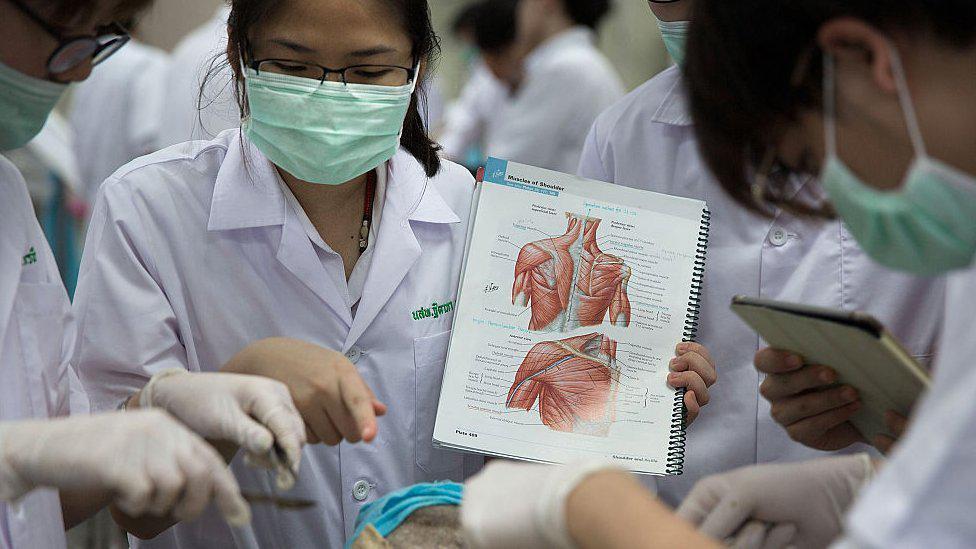 Estudantes de medicina analisam cadáver ao centro (que não aparece em detalhes na foto)