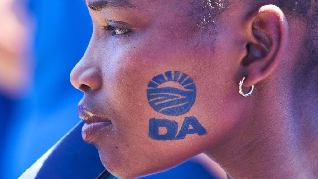 South Africa MP suspended for racist language 
