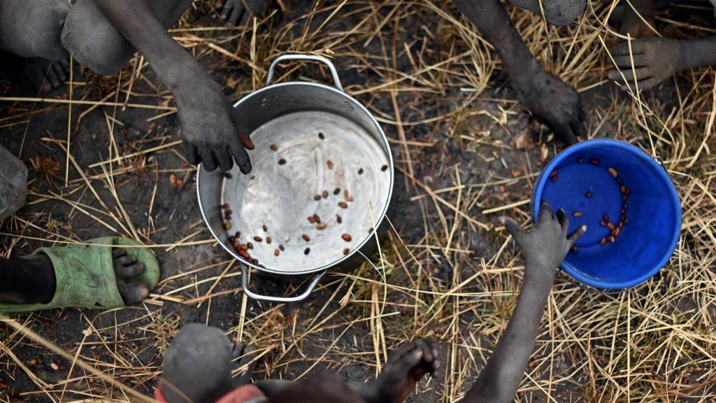أطفال يجمعون بقايا حبوب سقطت عند إنزال جوي للمساعدات. جنوب السودان 2020