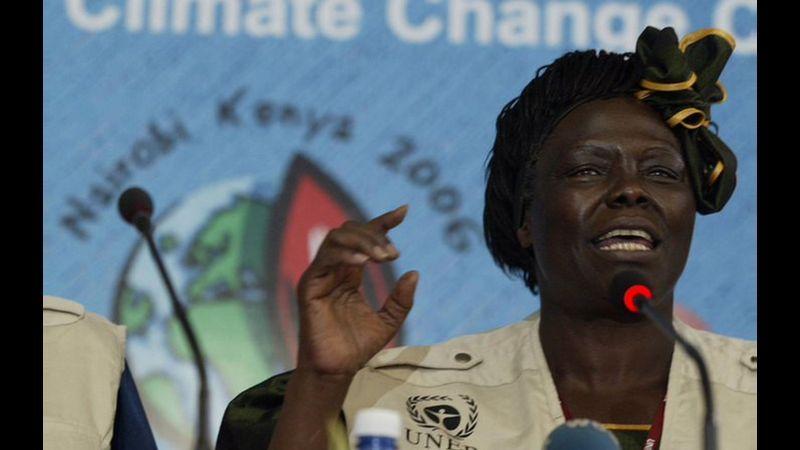 Wangari Maathai, HIV'in kökenine dair görüşleri nedeniyle eleştirilmişti