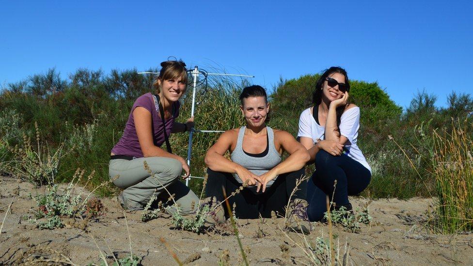 Tres de las científicas del equipo: Camila Deutsch, Gabriela Agostini y Sofía Perrone 