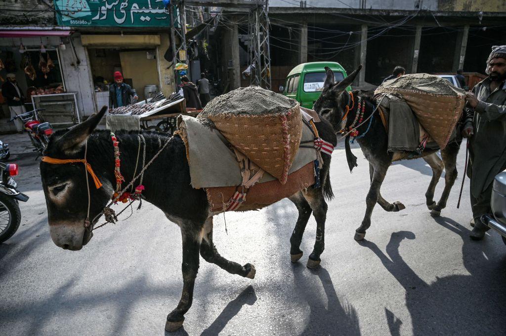 تصویر