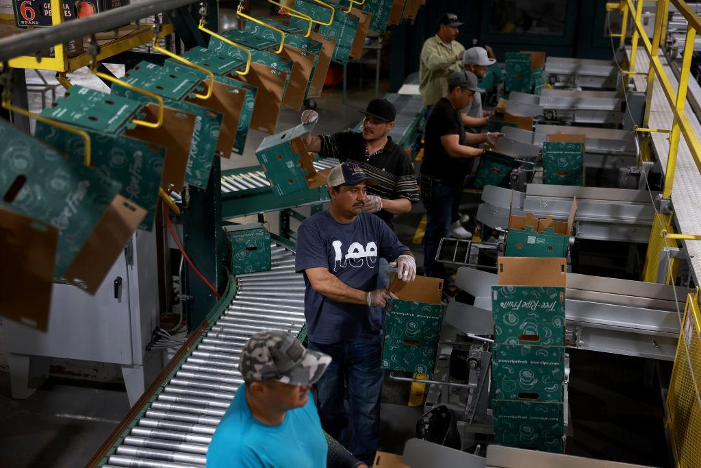 Trabajadores en una planta empaquetadora de fruta en el estado de Georgia, Estados Unidos.
