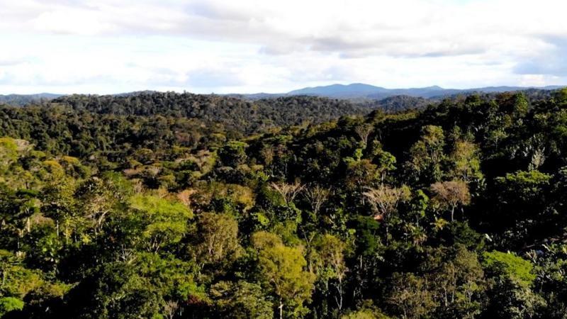 Vista aérea de fazenda