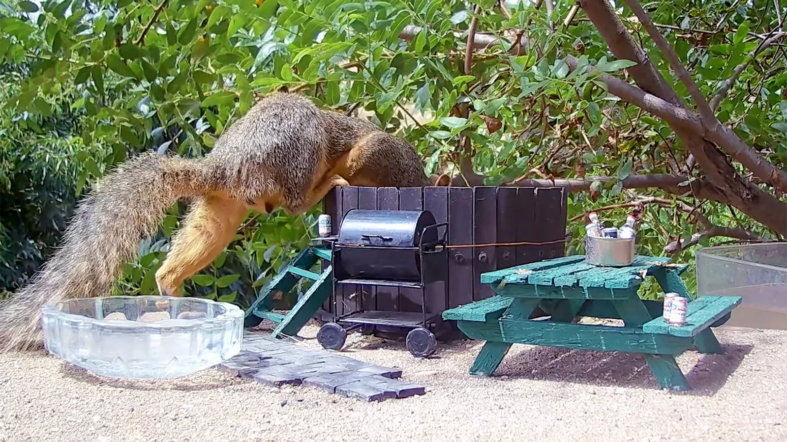 Esquilo pulando em miniatura de casa