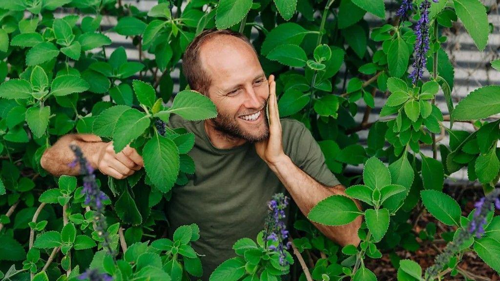 Robin uzgaja više od 100 biljaka Plectranthus barbatus u njegovom rasadniku na Florisi u SAD-u 