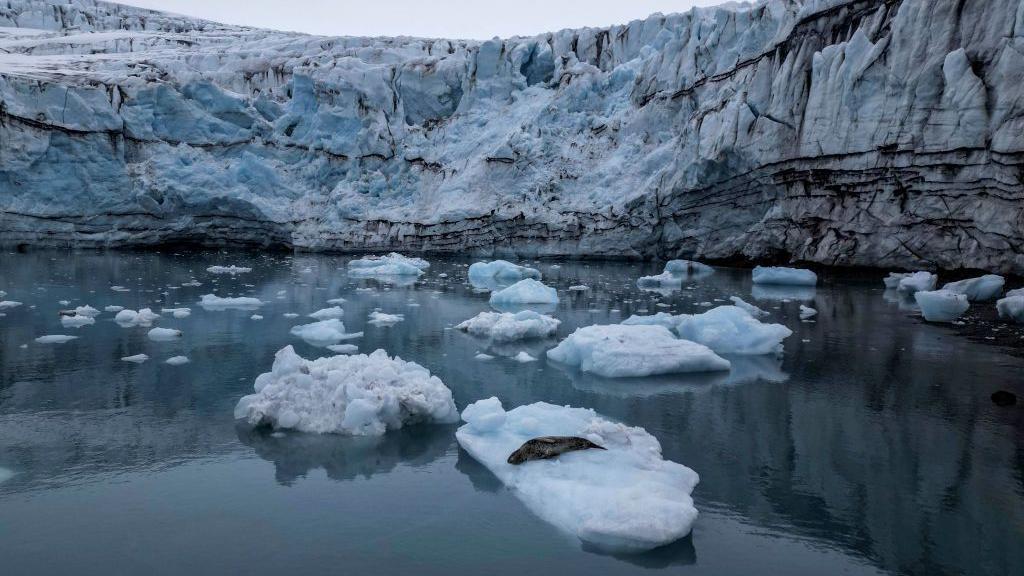 Hielo en la Antártica