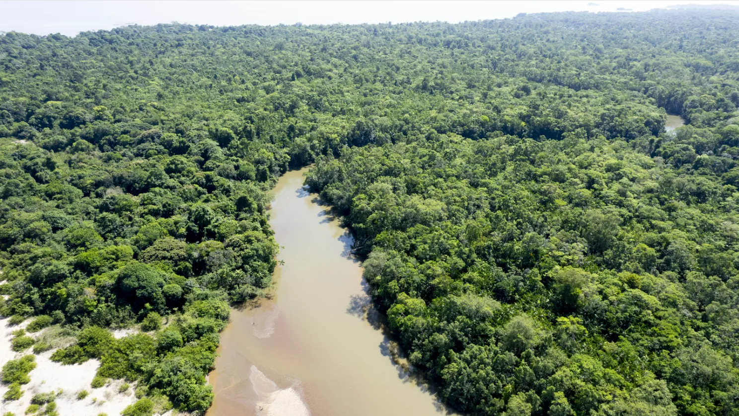 Foto aérea mostra grande rio cortando a floresta