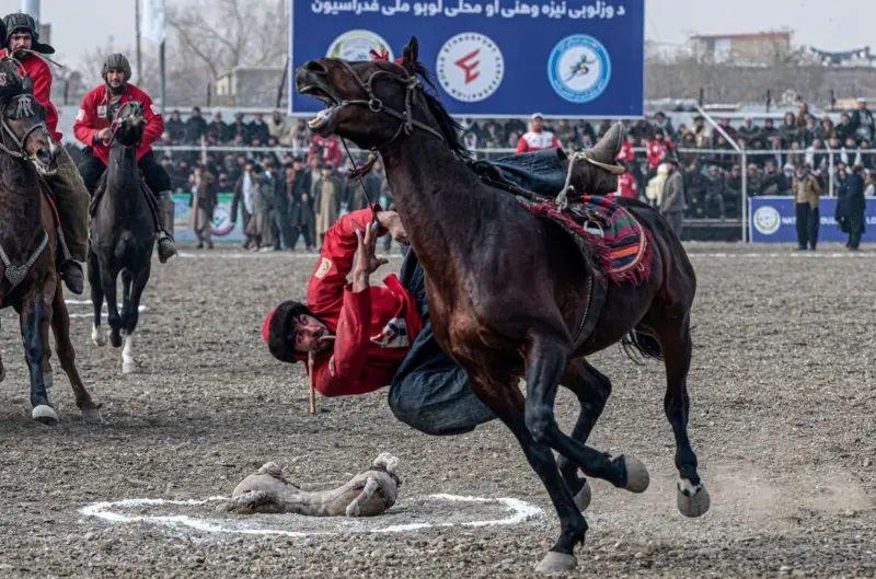 ملا عمر، اسامہ بن لادن، طالبان