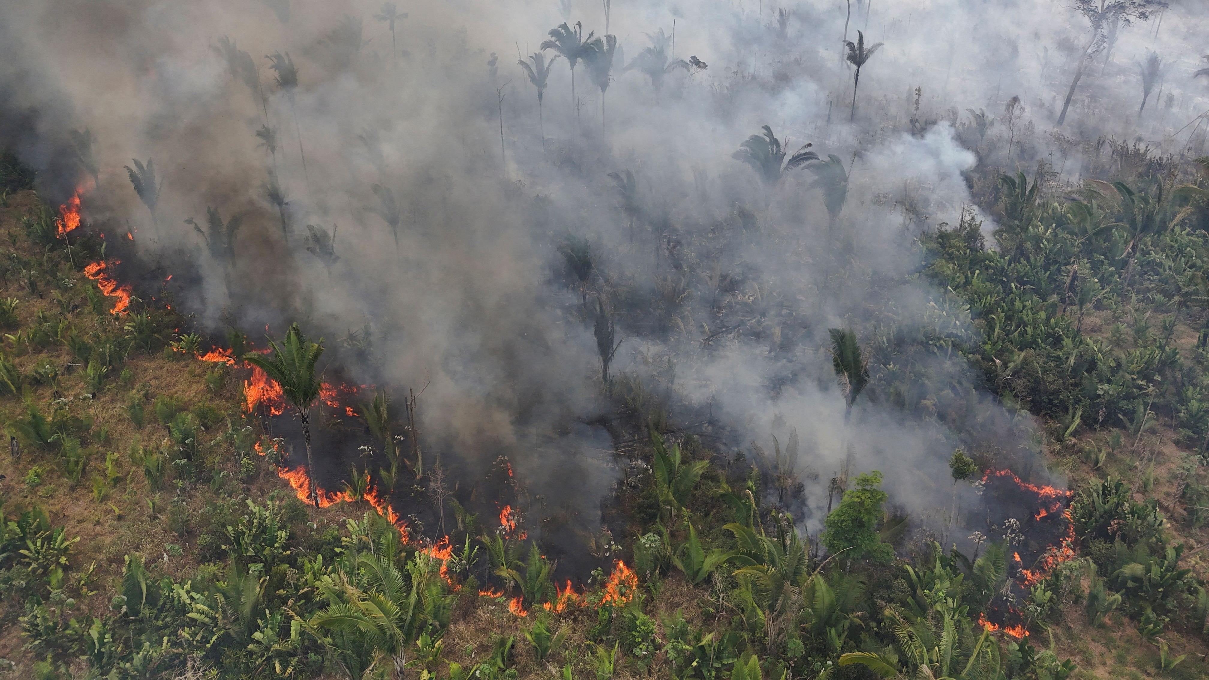 Incêndio na Amazônia