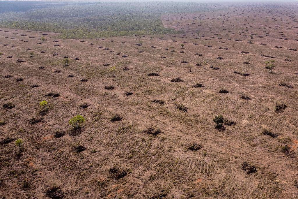 Área desmatada no Cerrado