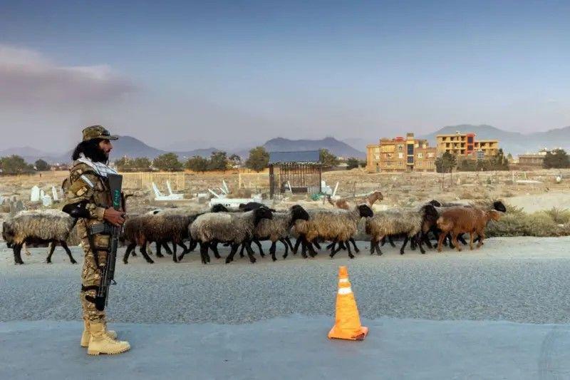 طالبان دولت اسلامیہ کو افغانستان سے نکالنا چاہتے ہیں