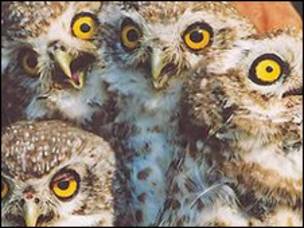 440+ Hantu Orang Hindu Gratis Terbaru